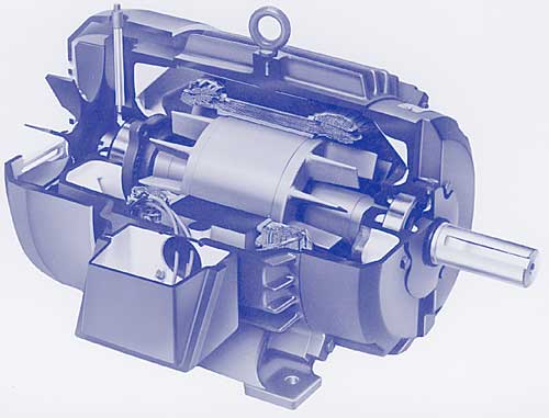 10.1 A.C. Induction Motors